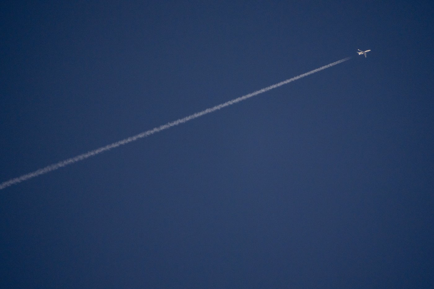 Hezbollah fires missile at Tel Aviv in further escalation after heavy Israeli strikes on Lebanon | iNFOnews.ca