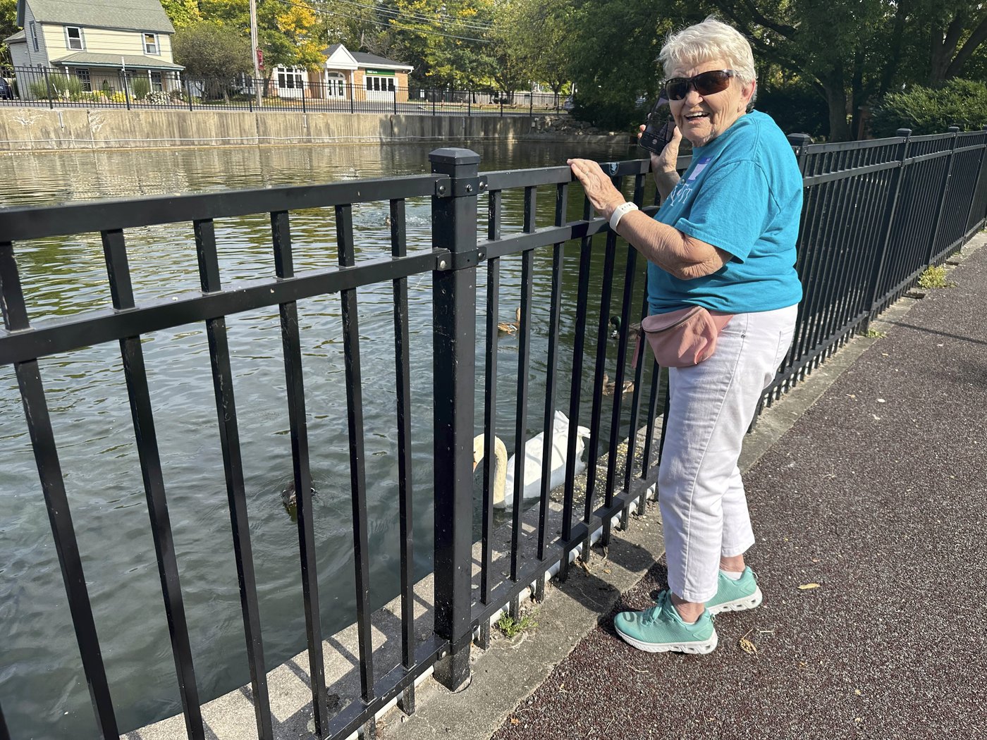A New York village known for its majestic mute swans faces a difficult choice after one is killed | iNFOnews.ca