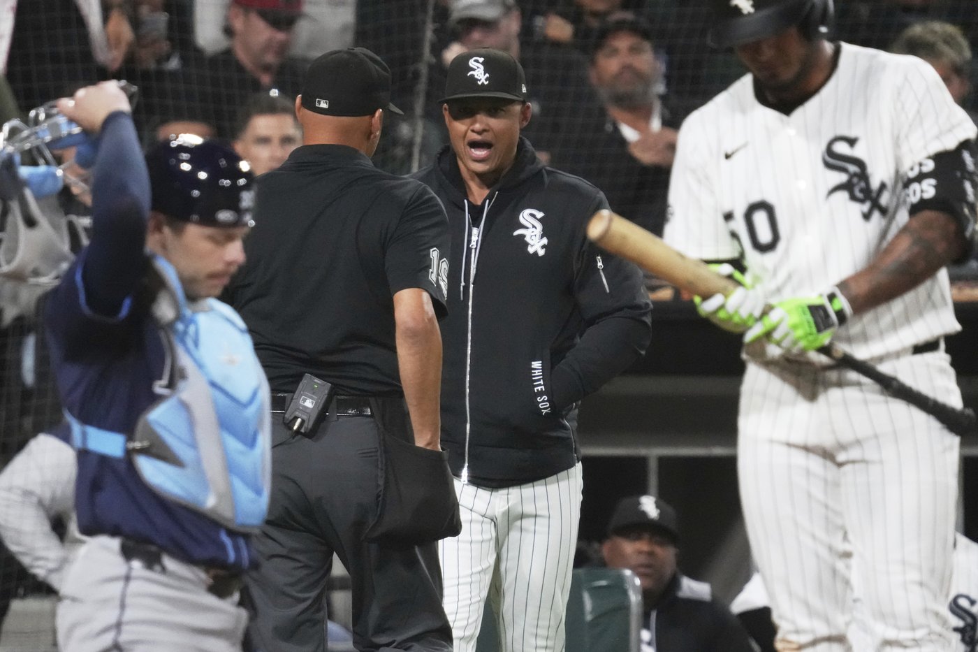 Carapazza, Iassogna, Márquez and Tichenor will be the umpire crew chiefs for Wild Card Series | iNFOnews.ca Carapazza, Iassogna, Márquez and Tichenor will be the umpire crew chiefs for Wild Card Series | iNFOnews.ca