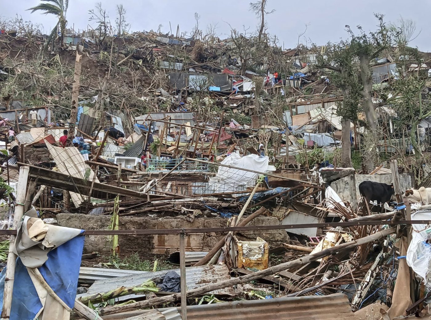 France rushes help to Mayotte, where hundreds or even thousands died in Cyclone Chido | iNFOnews.ca