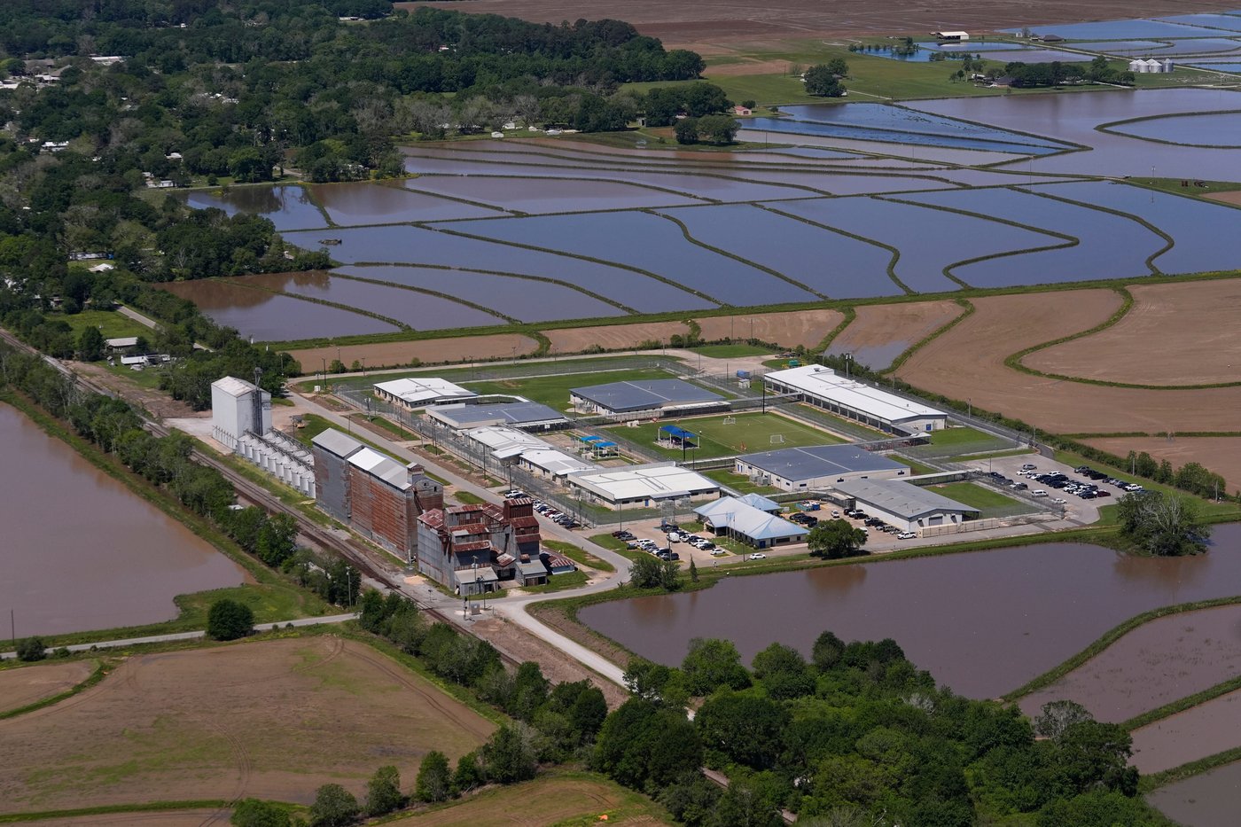 Immigrant rights group calls for removing pregnant women from detention | iNFOnews.ca