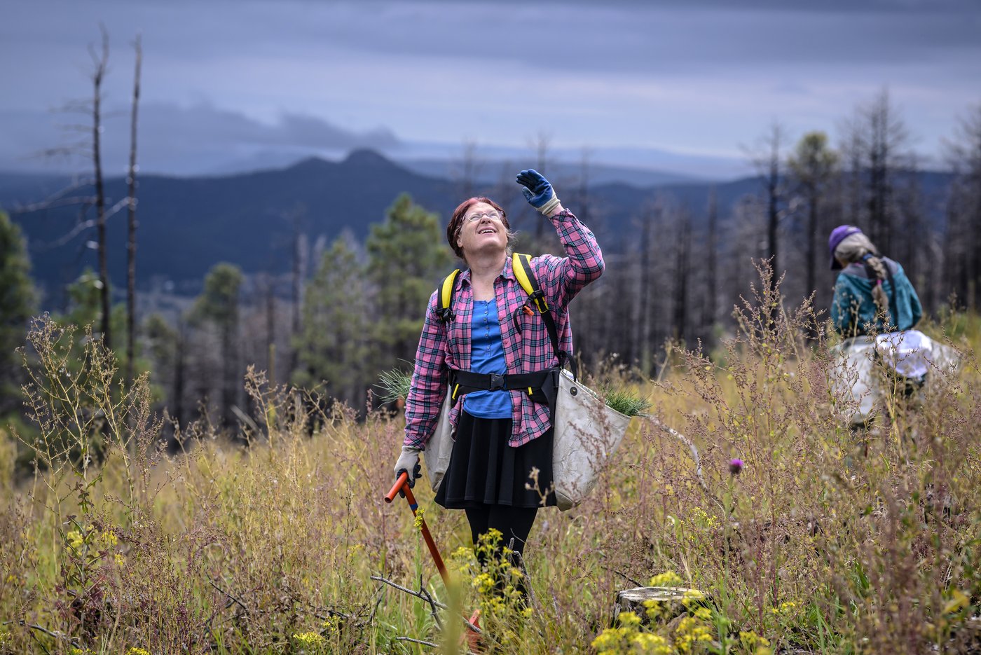 Volunteers help seedlings take root as New Mexico attempts to recover from historic wildfire | iNFOnews.ca