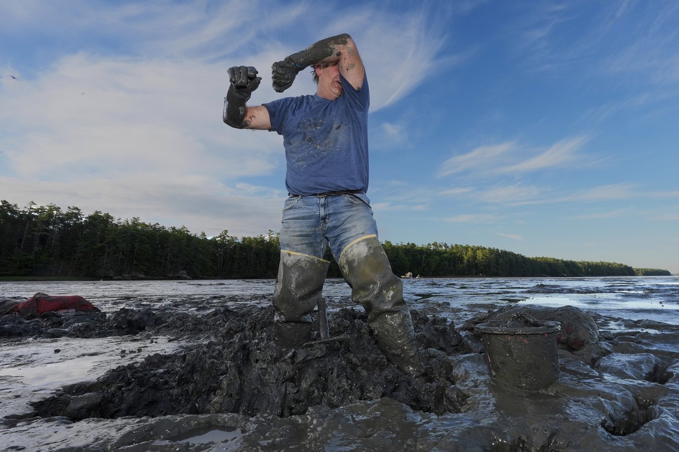 Invasive green crabs are bad for the environment, so New Englanders are starting to eat more of them | iNwine Invasive green crabs are bad for the environment, so New Englanders are starting to eat more of them | iNwine