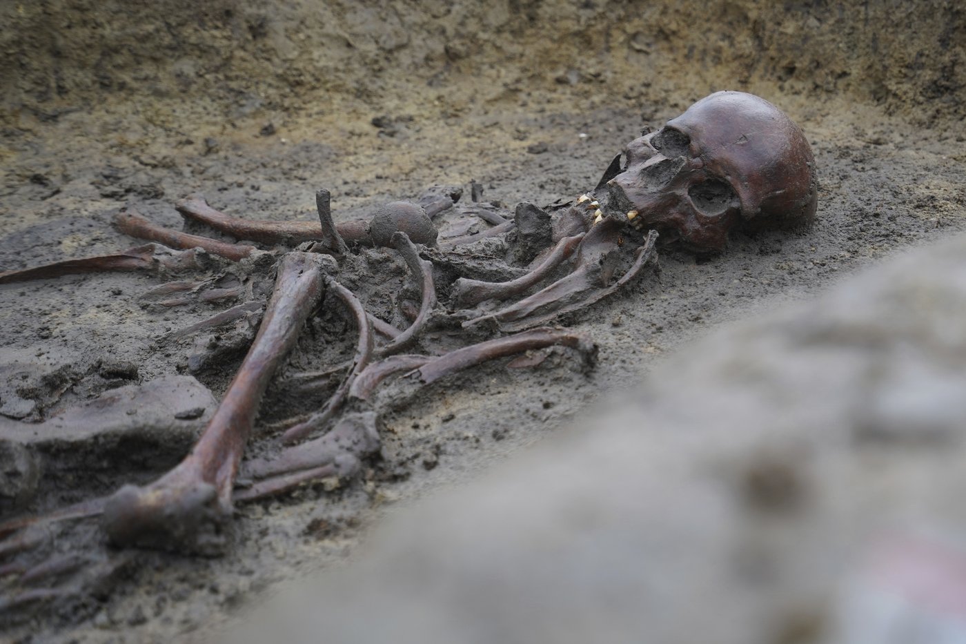 50 well-preserved Viking Age skeletons unearthed in Denmark | iNFOnews.ca 50 well-preserved Viking Age skeletons unearthed in Denmark | iNFOnews.ca