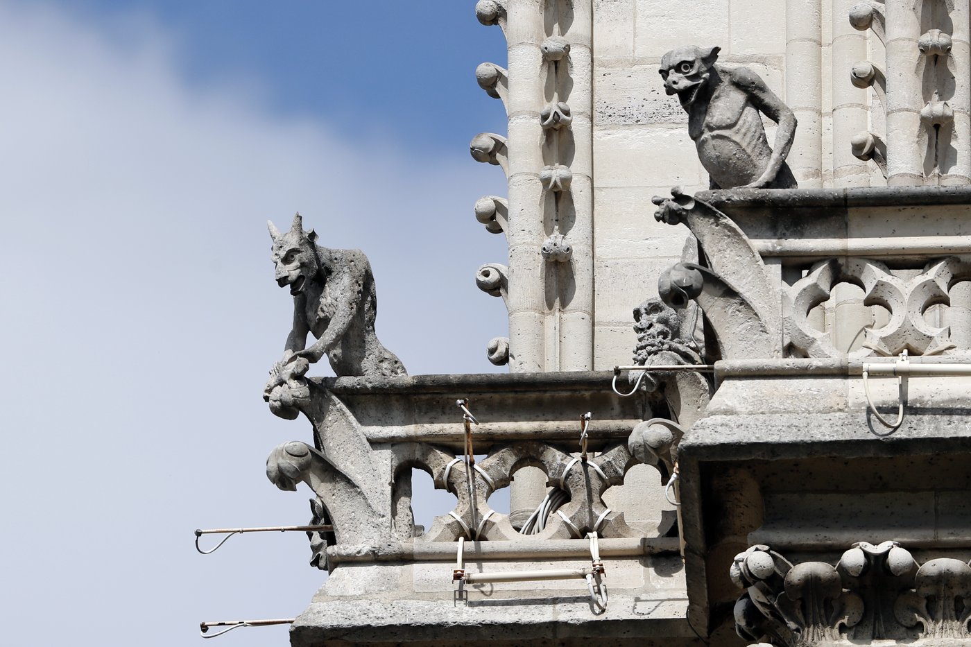 Five things you probably didn't know about Notre Dame Cathedral in Paris | iNFOnews.ca Five things you probably didn't know about Notre Dame Cathedral in Paris | iNFOnews.ca