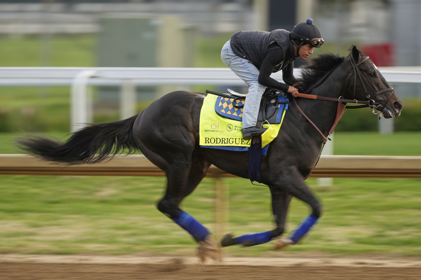 Rodriguez scratched from Kentucky Derby with minor foot bruise. Baeza moves into the 20-horse field | iNFOnews.ca Rodriguez scratched from Kentucky Derby with minor foot bruise. Baeza moves into the 20-horse field | iNFOnews.ca