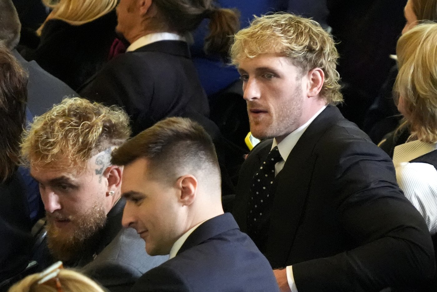 Jake, Logan Paul make cryptic HBO Max announcements on social media | iNFOnews.ca Jake, Logan Paul make cryptic HBO Max announcements on social media | iNFOnews.ca