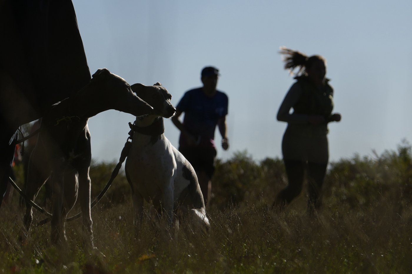 Feel-good parkruns have raced past their humble beginnings and now draw millions for fitness and fun | iNFOnews.ca Feel-good parkruns have raced past their humble beginnings and now draw millions for fitness and fun | iNFOnews.ca