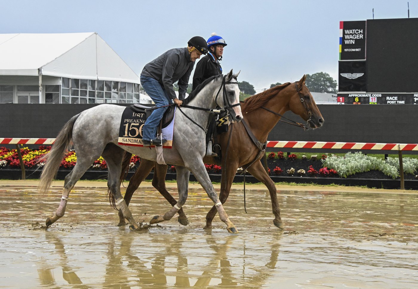 Jockey who broke 24 bones and spent 5 weeks in a coma from a 2011 fall to ride in the Preakness | iNFOnews.ca