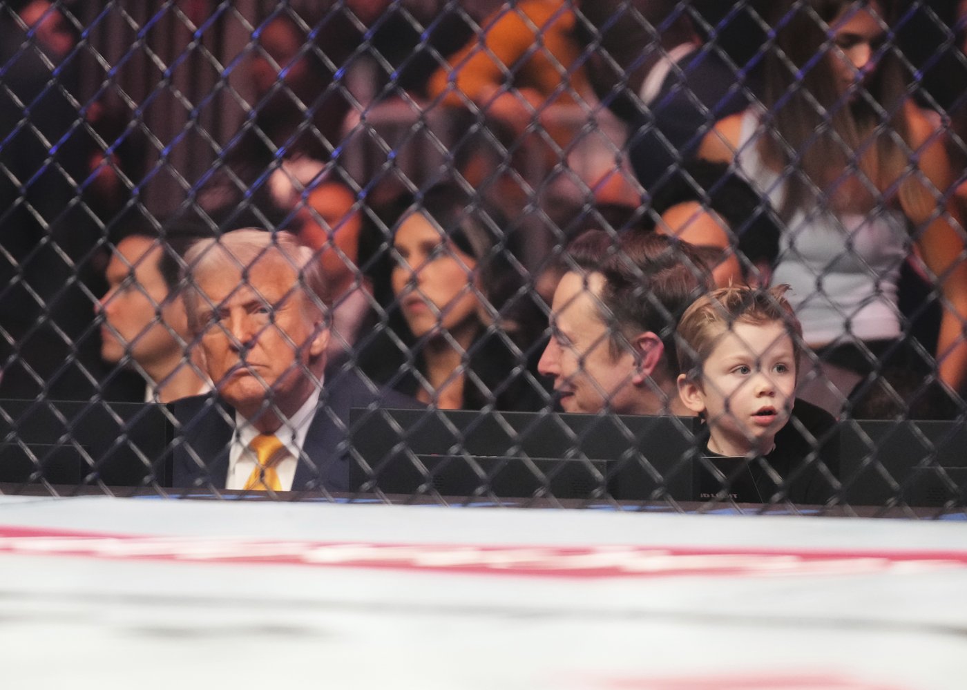 Trump sits cageside at Miami UFC event in his latest appearance at a sports event | iNFOnews.ca