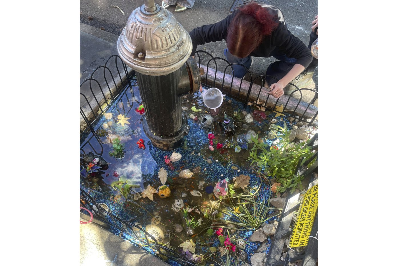 An abrupt goodbye to a guerilla goldfish aquarium beneath a leaky Brooklyn fire hydrant | iNFOnews.ca An abrupt goodbye to a guerilla goldfish aquarium beneath a leaky Brooklyn fire hydrant | iNFOnews.ca