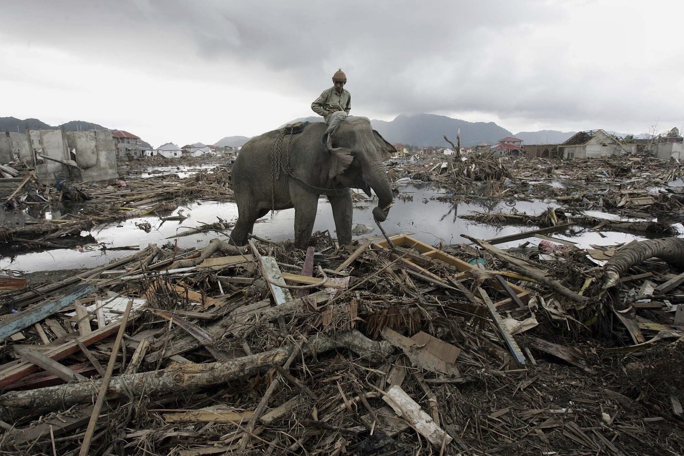 Prayers and tears mark 20 years since the Indian Ocean tsunami that killed some 230,000 people | iNFOnews.ca