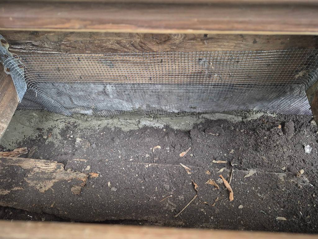 'Riddled with rats': New Vernon company getting into a growing industry | iNhome 'Riddled with rats': New Vernon company getting into a growing industry | iNhome