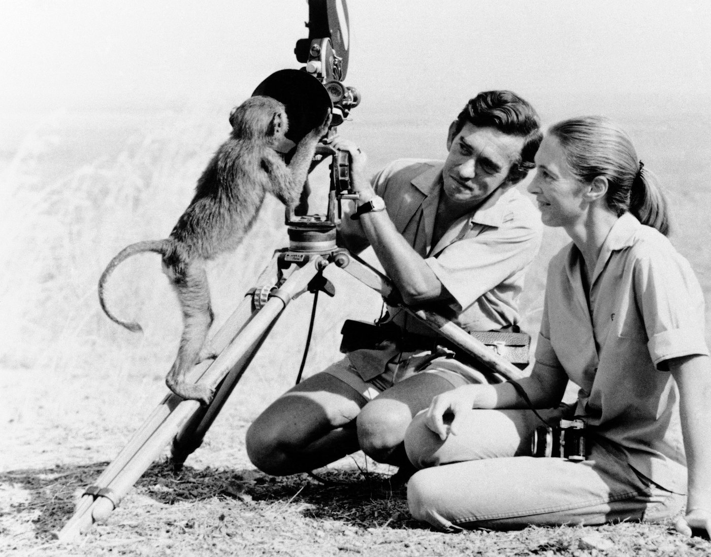 What to know about the life and legacy of chimpanzee researcher and wildlife advocate Jane Goodall | iNFOnews.ca