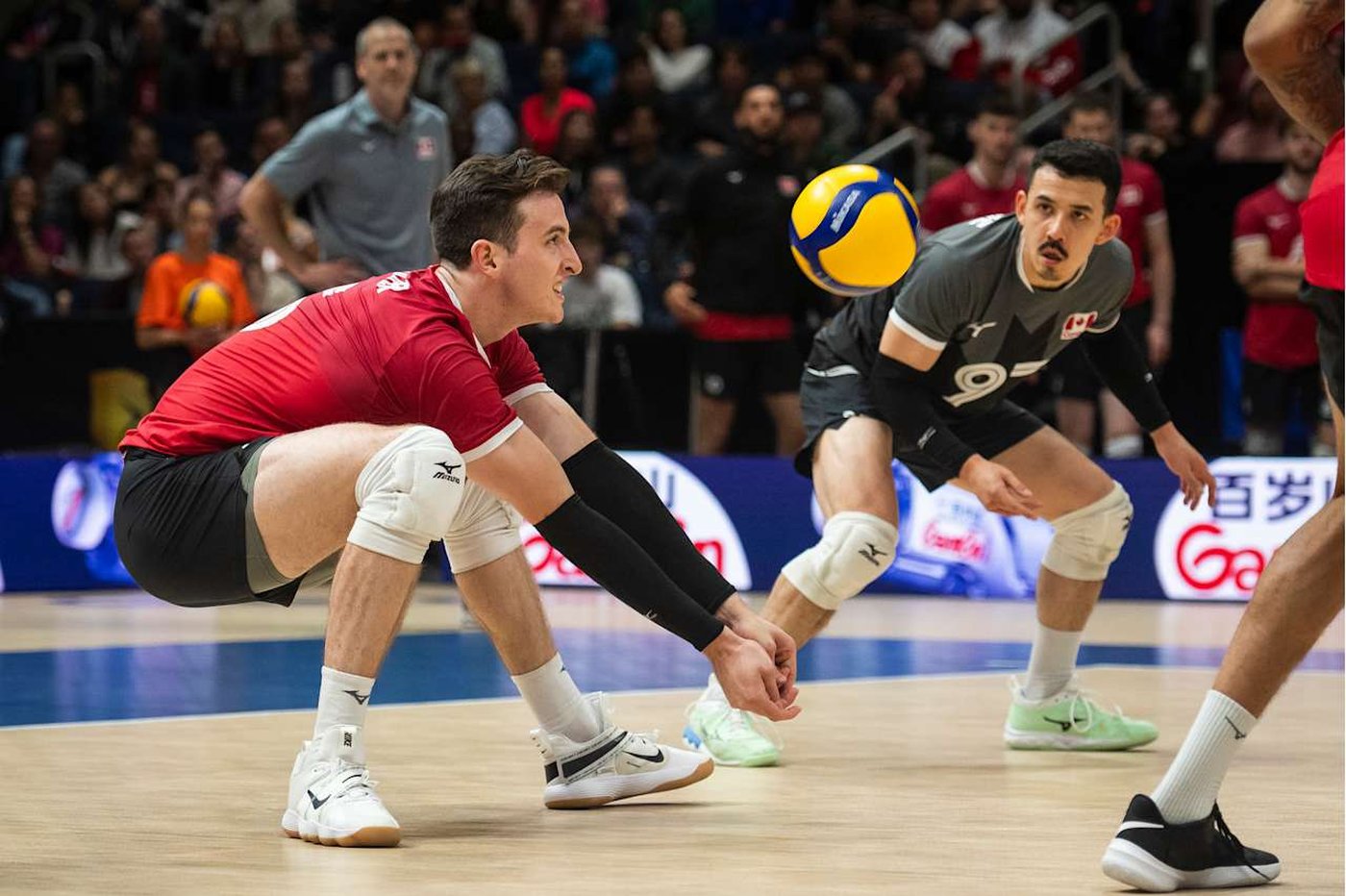 Record crowd watches Canada drop tough Volleyball Nations League match to France | iNFOnews.ca