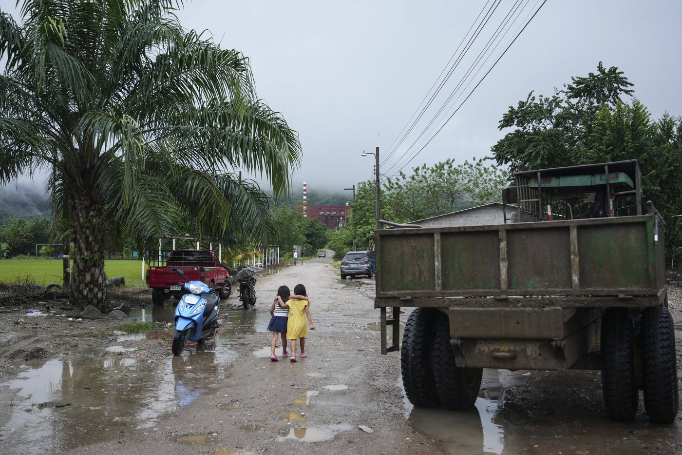 He fought to save jungles in Honduras. Now his killing haunts environmental defenders | iNFOnews.ca He fought to save jungles in Honduras. Now his killing haunts environmental defenders | iNFOnews.ca