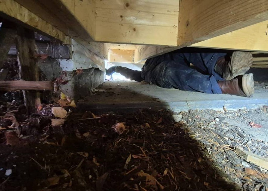 'Riddled with rats': New Vernon company getting into a growing industry | iNhome A man in coveralls is stretched out under a porch.