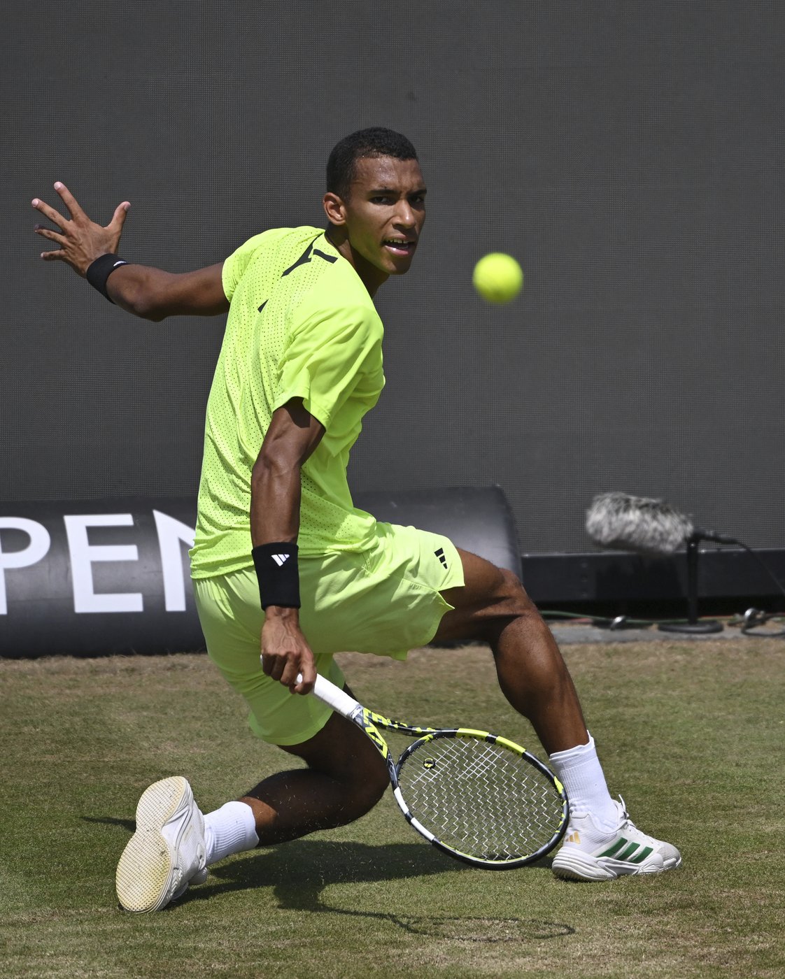 Diallo continues winning ways with first-round victory at Queen's Club | iNFOnews.ca Diallo continues winning ways with first-round victory at Queen's Club | iNFOnews.ca