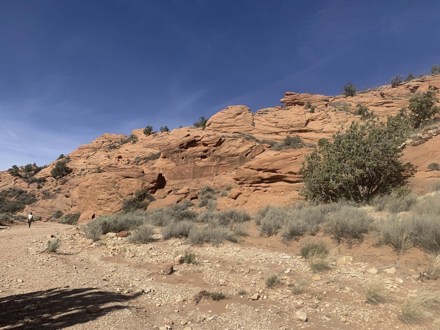 Supreme Court rejects Utah's push to wrest control of public land from the federal government | iNFOnews.ca Supreme Court rejects Utah's push to wrest control of public land from the federal government | iNFOnews.ca