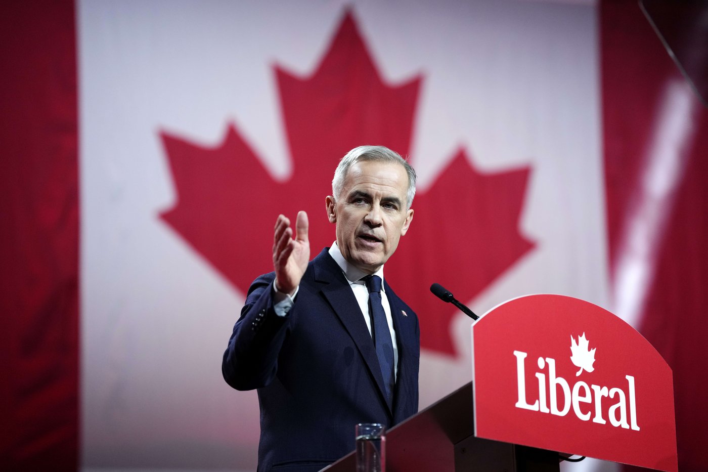 Liberals lagging behind other parties on nominating candidates as election looms | iNFOnews.ca