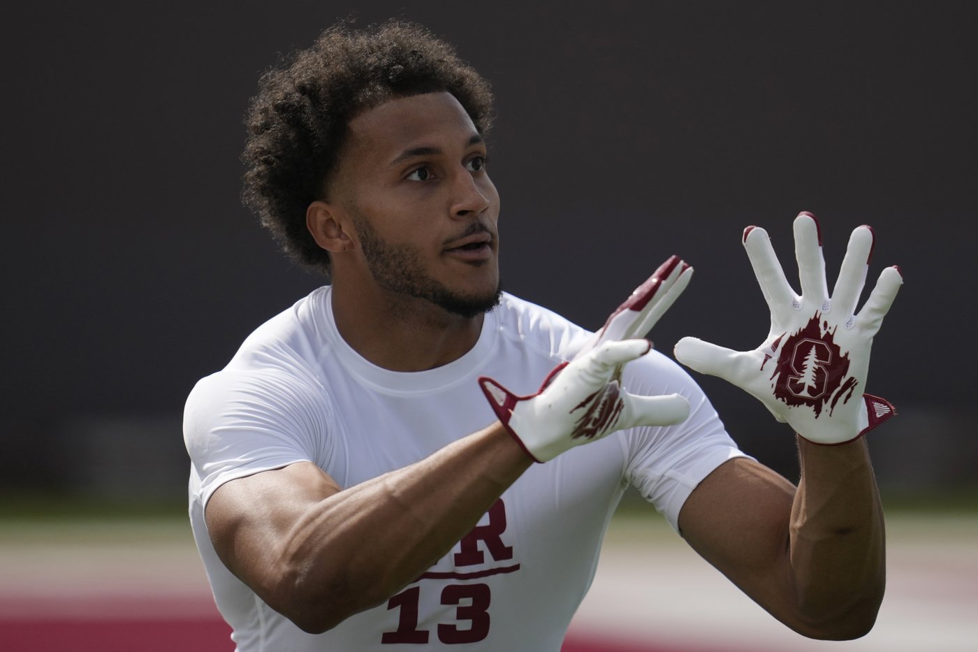 Tennessee Titans draft Canadian receiver Elic Ayomanor 136th overall | iNFOnews.ca