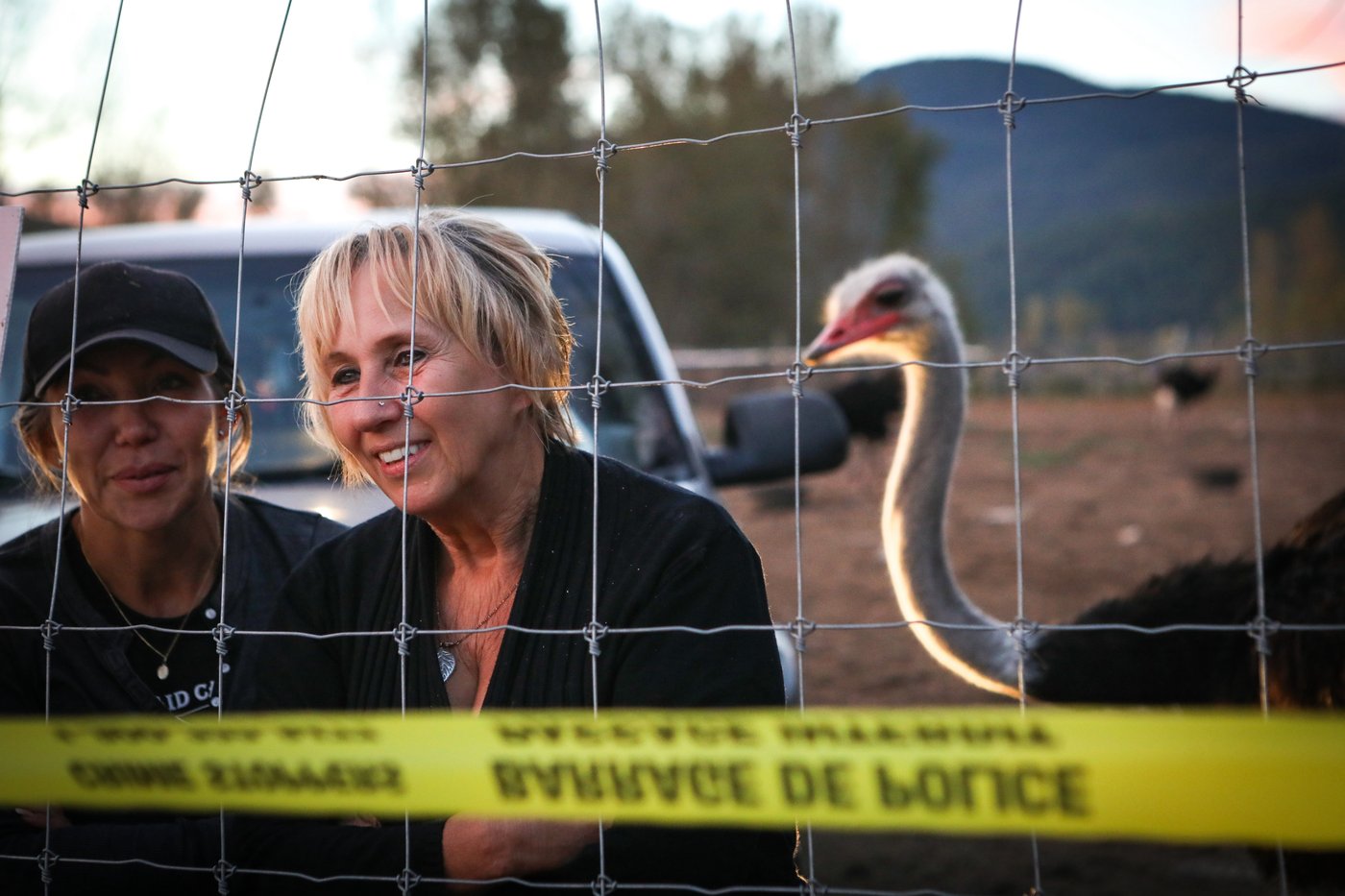 Police probe threats of violence aimed at businesses linked to B.C. ostrich cull | iNFOnews.ca Police probe threats of violence aimed at businesses linked to B.C. ostrich cull | iNFOnews.ca