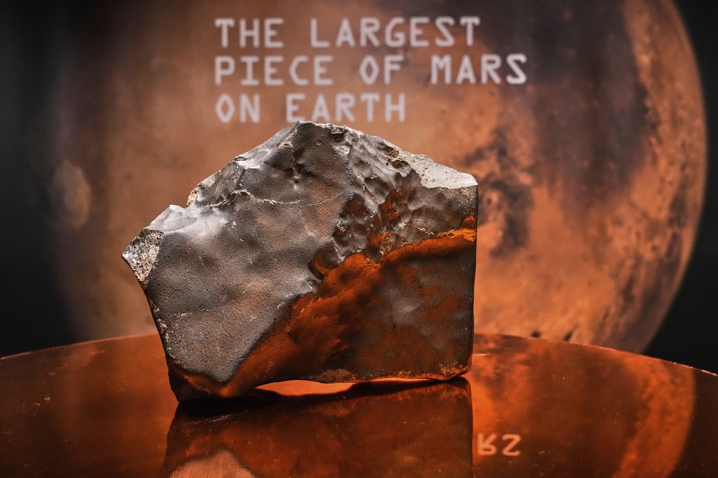 Largest piece of Mars on Earth fetches $5.3 million at auction, but young dinosaur steals the show | iNFOnews.ca