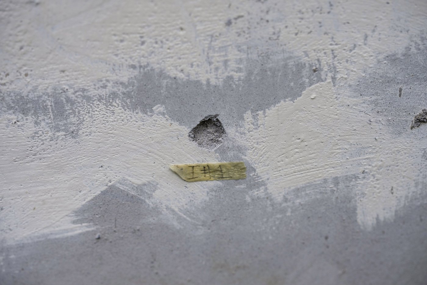 He fought to save jungles in Honduras. Now his killing haunts environmental defenders | iNFOnews.ca He fought to save jungles in Honduras. Now his killing haunts environmental defenders | iNFOnews.ca