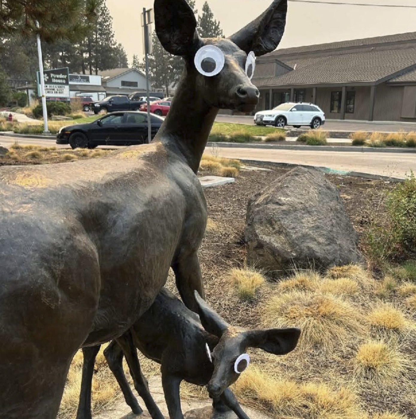 Mysterious googly eyes go viral after appearing on public art in Oregon | iNFOnews.ca Mysterious googly eyes go viral after appearing on public art in Oregon | iNFOnews.ca