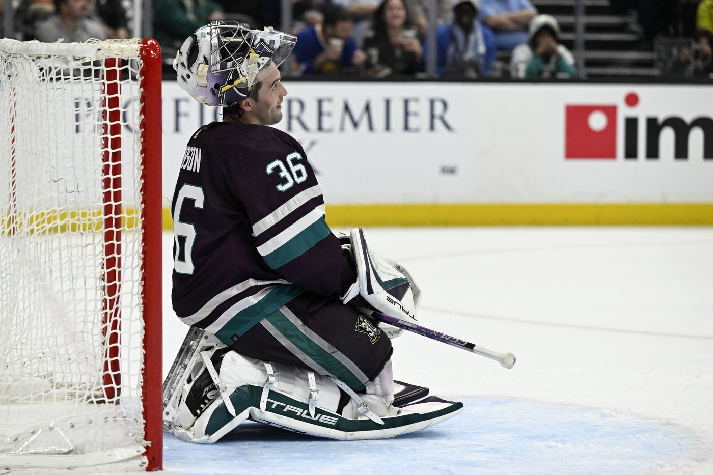 The Anaheim Ducks are determined to take another step in their interminable rebuilding process | iNFOnews.ca The Anaheim Ducks are determined to take another step in their interminable rebuilding process | iNFOnews.ca