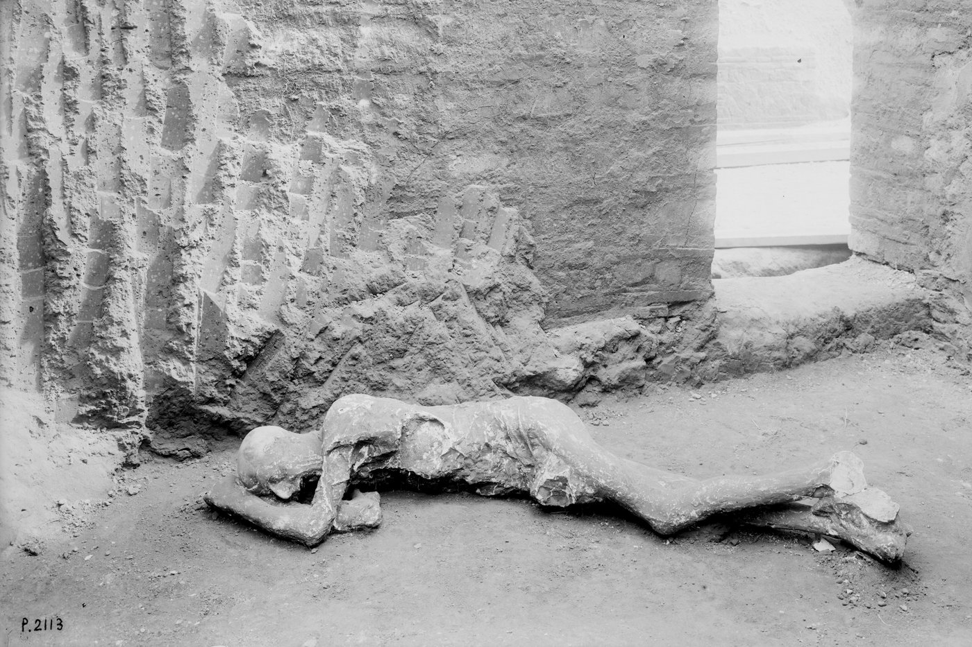 New DNA evidence rewrites long-told stories of people in ancient Pompeii | iNFOnews.ca