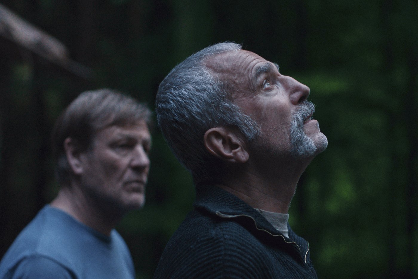 At the New York Film Festival, legacies loom large | iNFOnews.ca At the New York Film Festival, legacies loom large | iNFOnews.ca