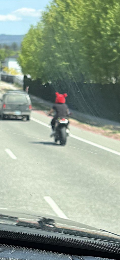 iN PHOTOS: Head-scratching sights on roads in Okanagan, Kamloops | iNwheels iN PHOTOS: Head-scratching sights on roads in Okanagan, Kamloops | iNwheels