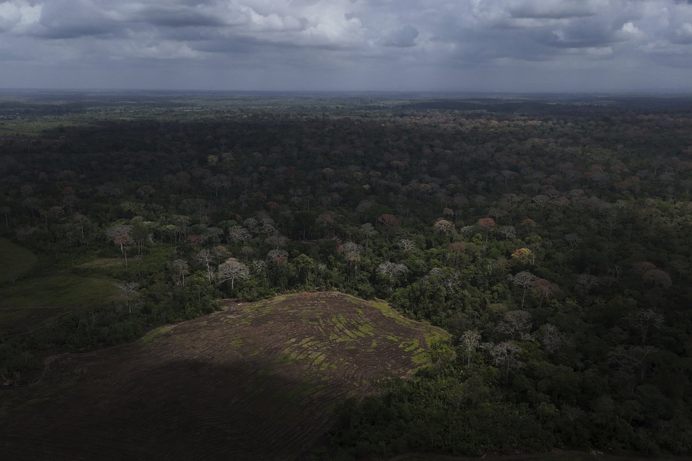 Few migrants remain in the Darien Gap, but an environmental crisis has been left behind | iNFOnews.ca