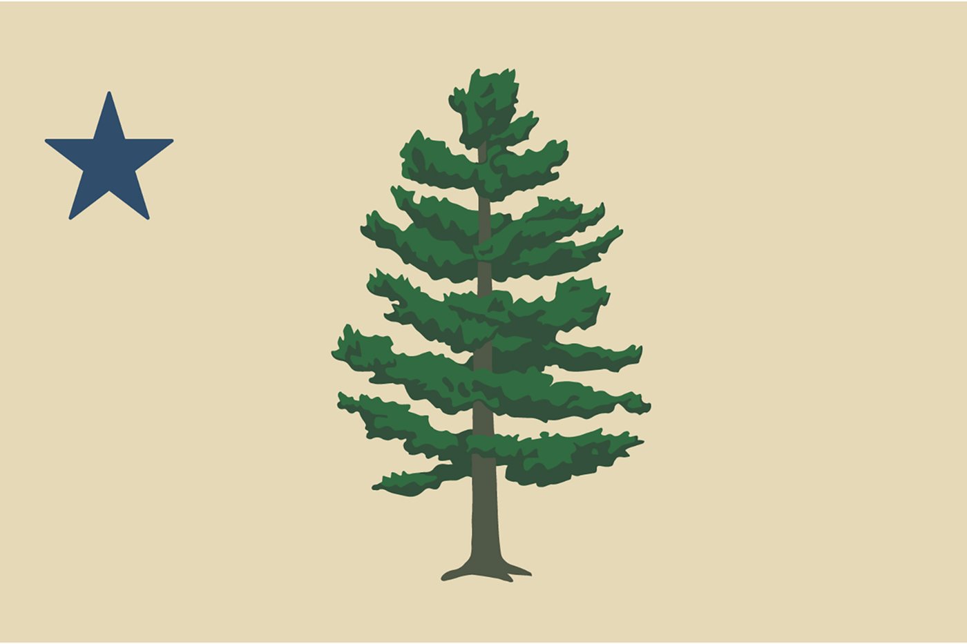 Mainers reject proposal to resurrect the state’s original flag | iNFOnews.ca