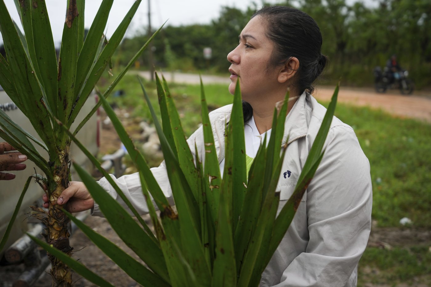 He fought to save jungles in Honduras. Now his killing haunts environmental defenders | iNFOnews.ca He fought to save jungles in Honduras. Now his killing haunts environmental defenders | iNFOnews.ca