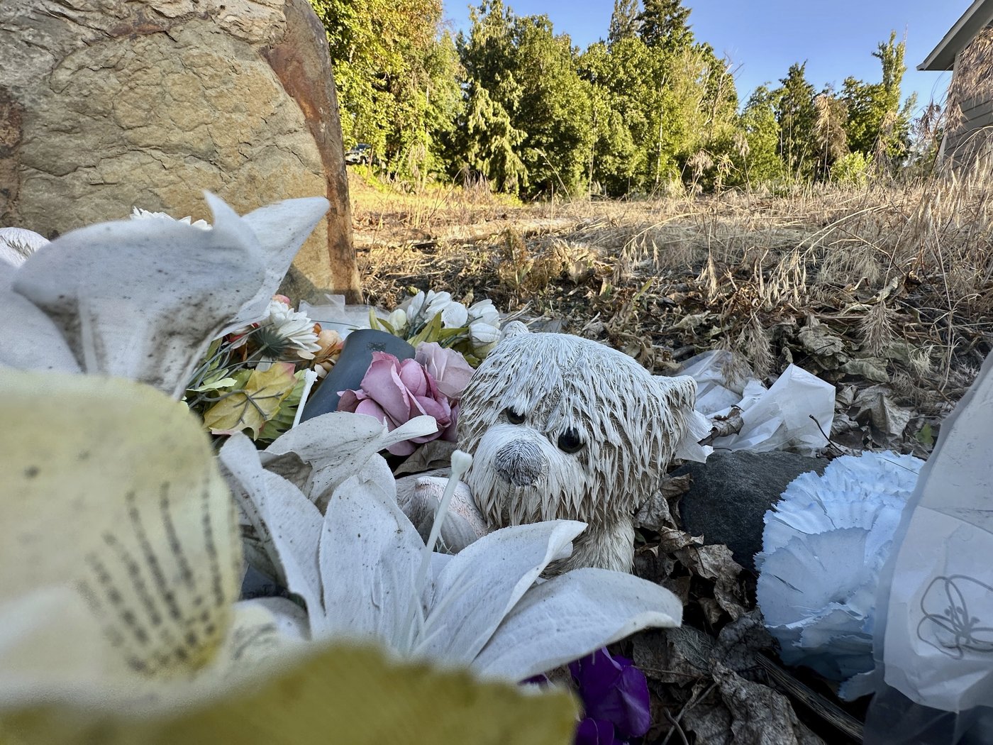Idaho murder case highlights limits of victims’ input in plea bargains | iNFOnews.ca