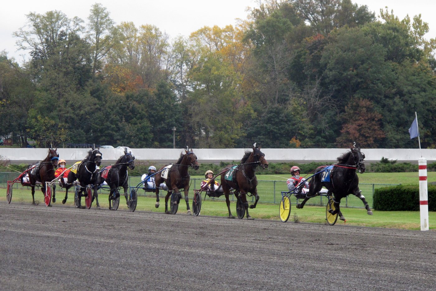 Oldest horse racing track in US is closing. Freehold Raceway shutting down on Dec .28 | iNFOnews.ca