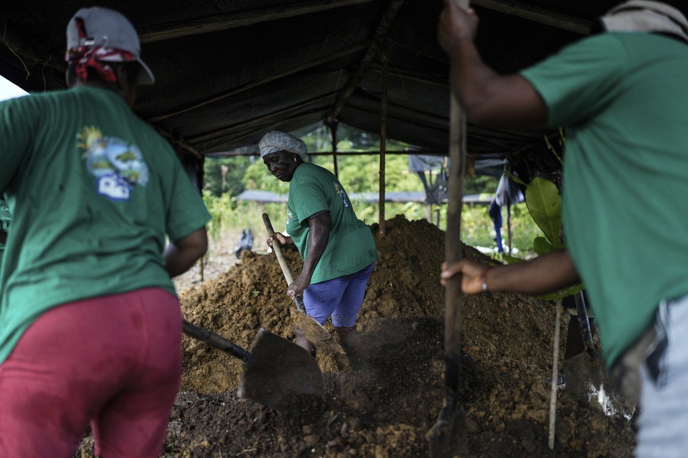 Afro-Colombians fight the effects of gold mining through biodiversity projects in a violent region | iNFOnews.ca Afro-Colombians fight the effects of gold mining through biodiversity projects in a violent region | iNFOnews.ca