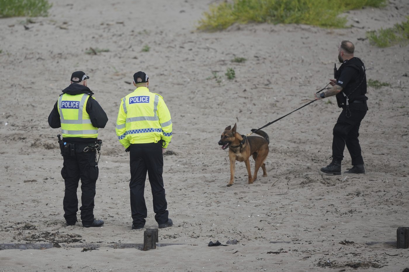 'Why isn't he paying?' Trump's golf visit to cost Scottish taxpayers | iNFOnews.ca 'Why isn't he paying?' Trump's golf visit to cost Scottish taxpayers | iNFOnews.ca