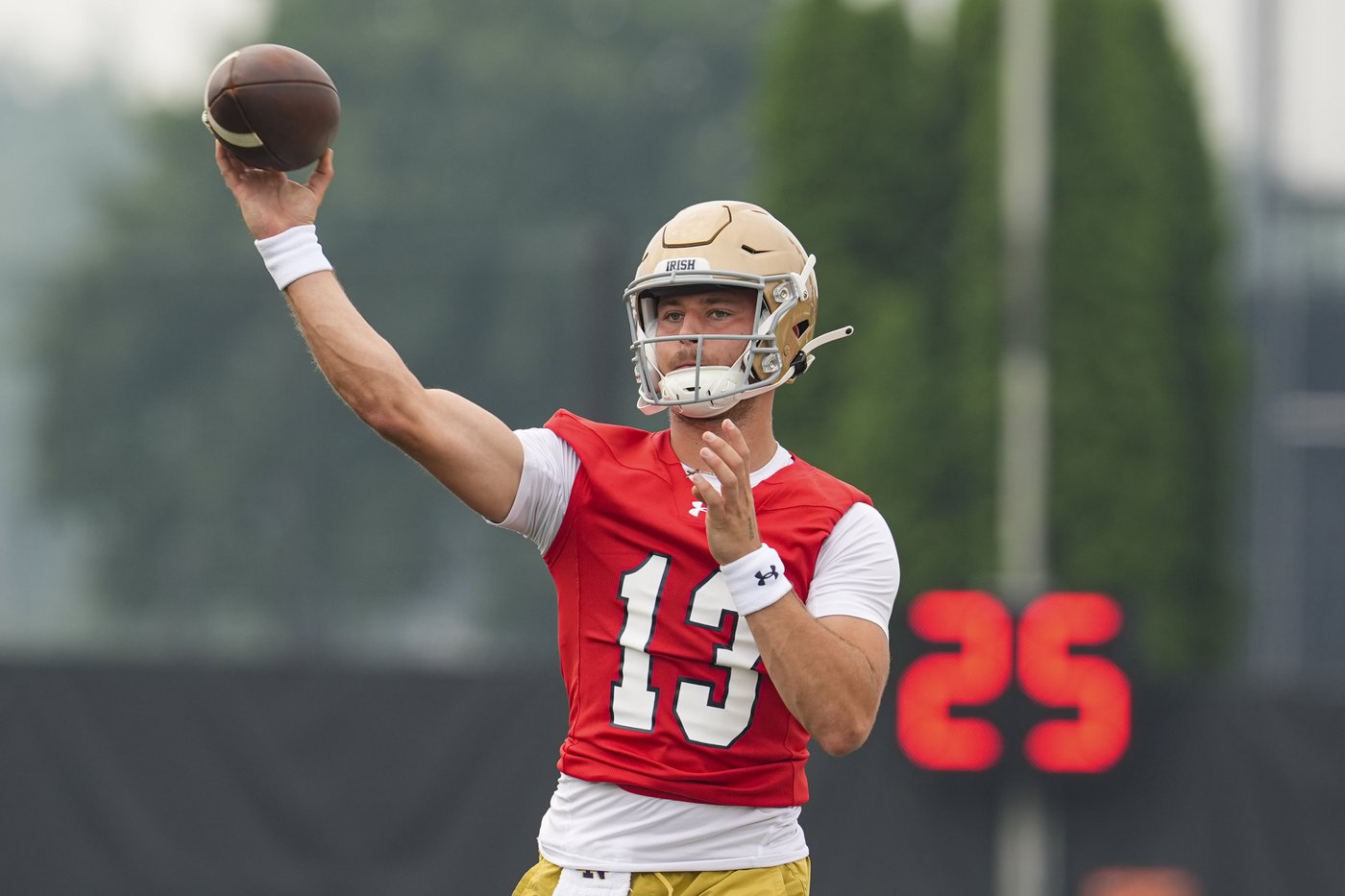 CJ Carr hopes to add to family's football legacy after winning starting QB job at No. 6 Notre Dame | iNFOnews.ca