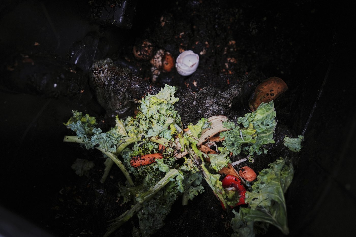 Composting helps the planet. This is how to do it, no matter where you live | iNFOnews.ca Composting helps the planet. This is how to do it, no matter where you live | iNFOnews.ca