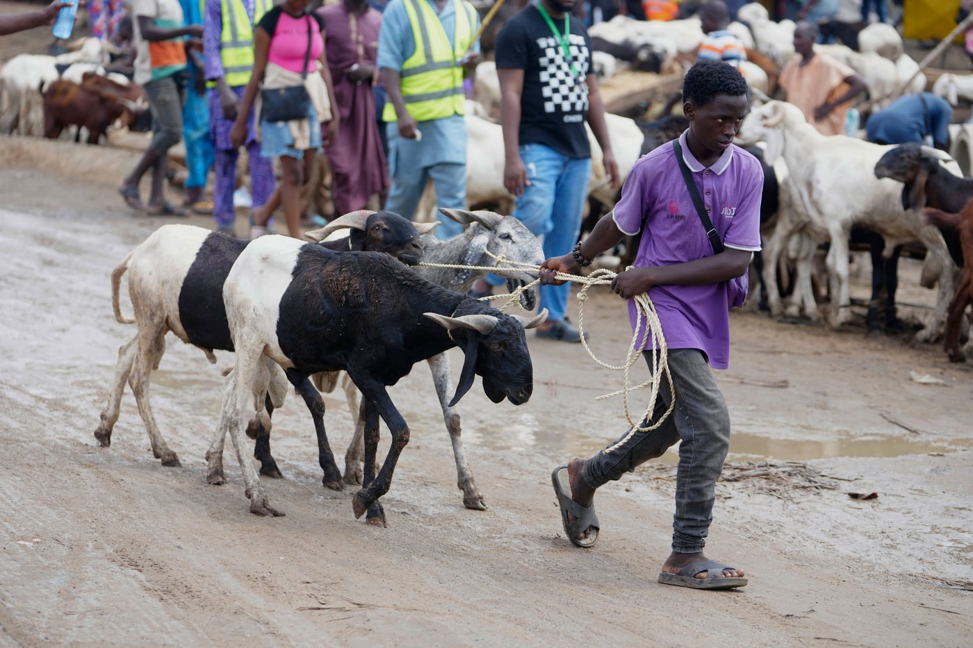 Muslims look forward to the annual Eid feast. Many Africans are now struggling to afford it | iNFOnews.ca Muslims look forward to the annual Eid feast. Many Africans are now struggling to afford it | iNFOnews.ca