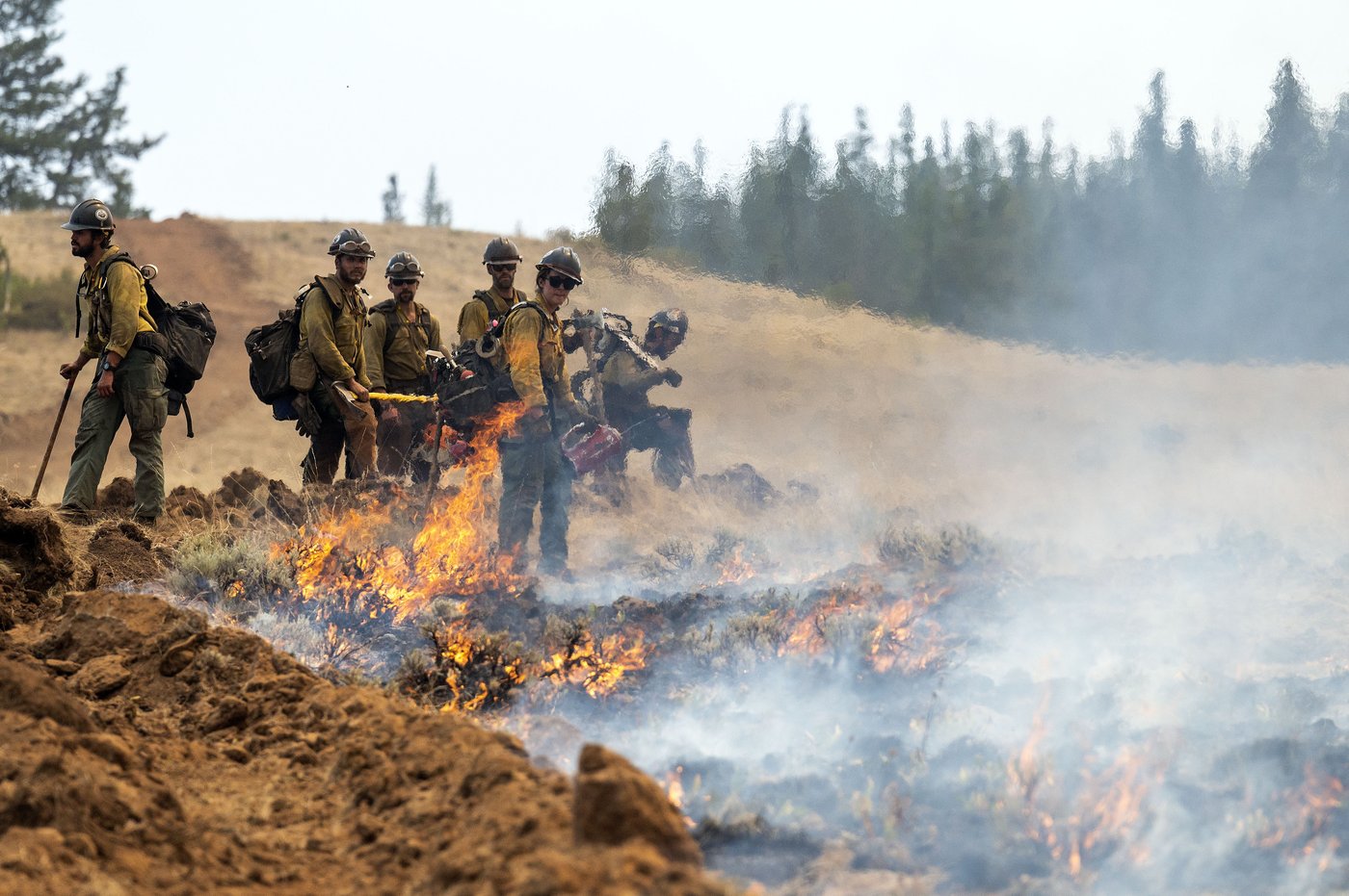 2 firefighters battling Washington state wildfire arrested by Border Patrol | iNFOnews.ca