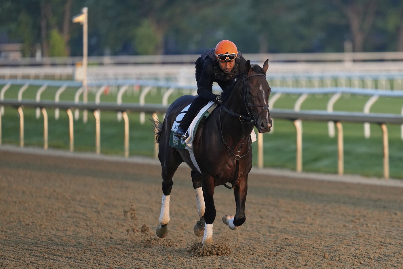 Belmont at Saratoga is a draw, but keeping the Triple Crown relevant remains a concern | iNFOnews.ca Belmont at Saratoga is a draw, but keeping the Triple Crown relevant remains a concern | iNFOnews.ca
