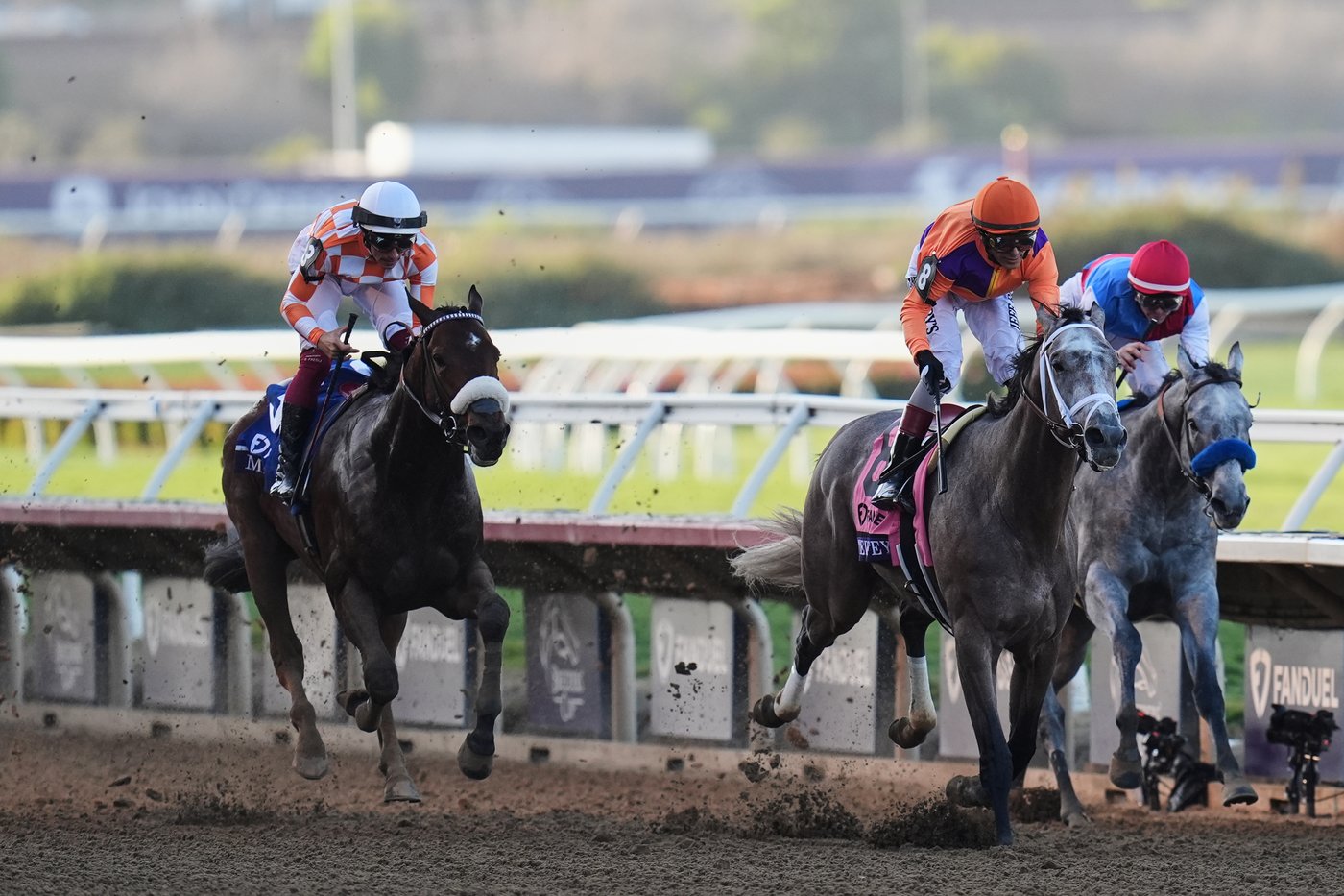 Ted Noffey wins Breeders' Cup Juvenile for Todd Pletcher, becomes early Kentucky Derby favorite | iNFOnews.ca Ted Noffey wins Breeders' Cup Juvenile for Todd Pletcher, becomes early Kentucky Derby favorite | iNFOnews.ca