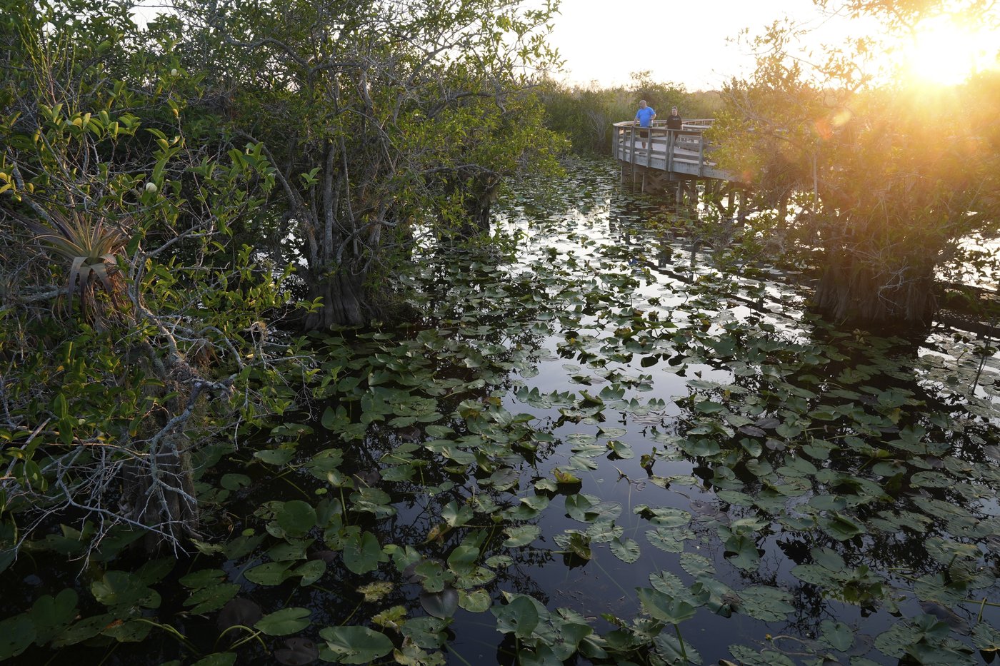 In Florida, a race is on to save the Everglades and protect a key source of drinking water | iNFOnews.ca In Florida, a race is on to save the Everglades and protect a key source of drinking water | iNFOnews.ca