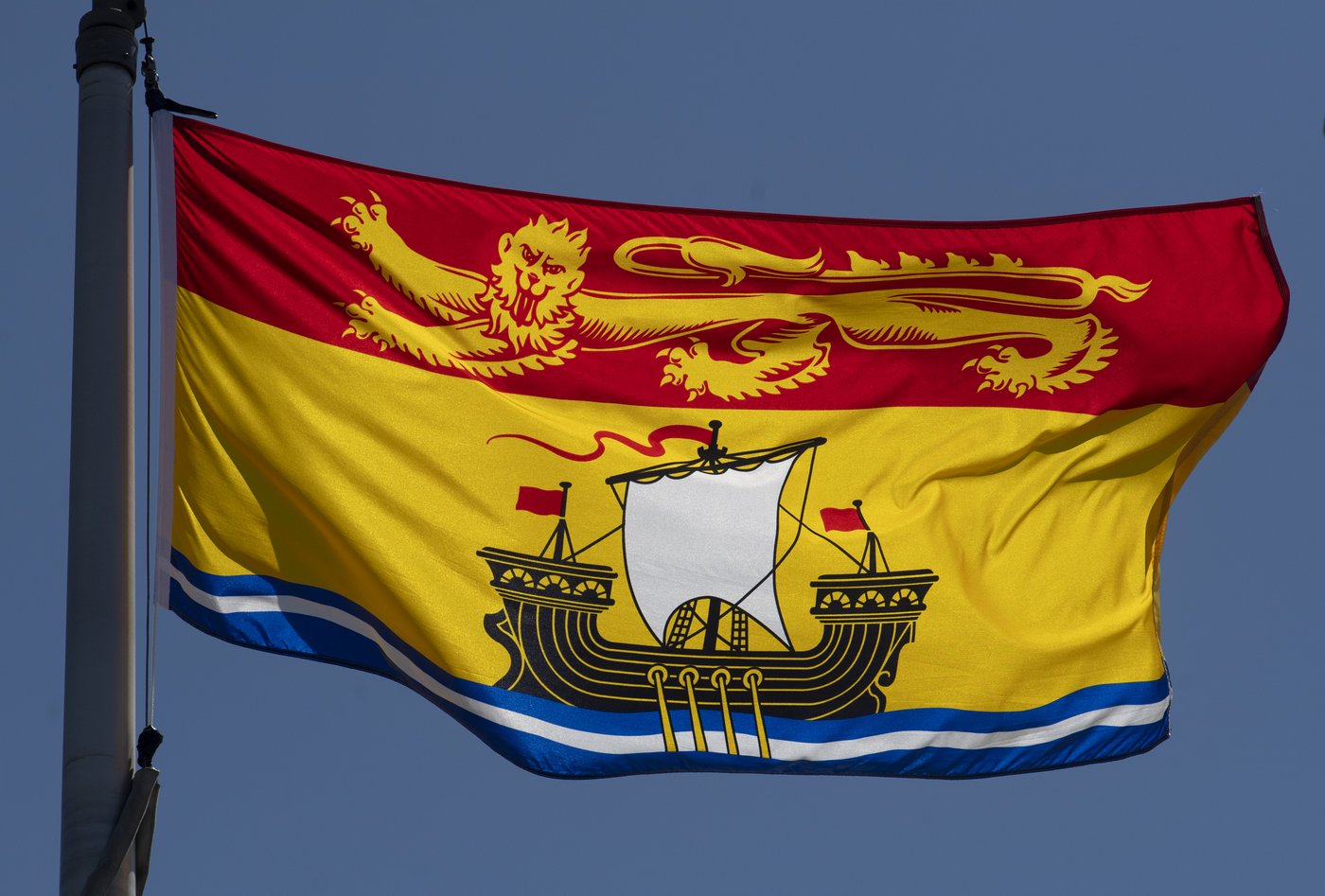 3-year-old has died after being struck by starting gate at N.B. horse racing track | iNFOnews.ca