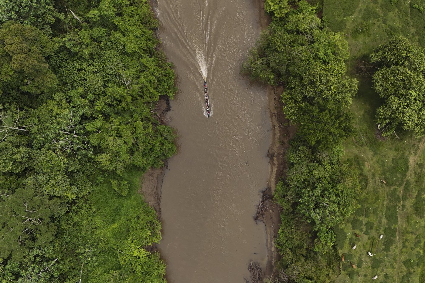 Venezuelans crossing the Darien Gap say they lost hope after July's election | iNFOnews.ca
