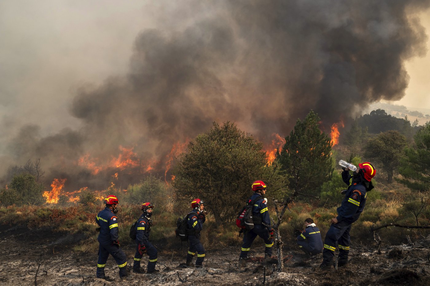 Greek firefighters make progress in taming deadly forest blaze burning for 4 days | iNFOnews.ca